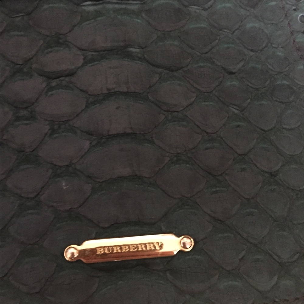 Burberry Python Emerald Green Clutch Crossbody - image 2